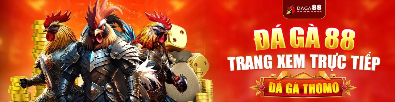 Sân đấu đá gà trực tuyến QH88 VIP